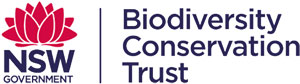 BCT-Logo