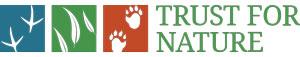 TFN-Logo